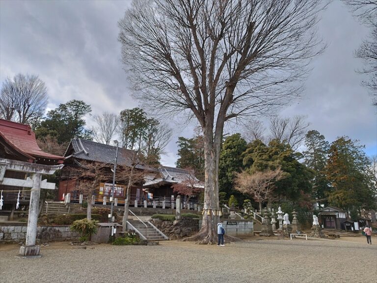 霊泉の社 瀧宮神社(たきのみやじんじゃ)(埼玉県深谷市西島)深谷駅そばの湧き出ずる御神水が有名な神社 SpiBlog